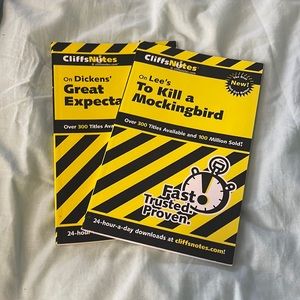 Cliffs Notes; To Kill a Mockingbird and Great Expectations.  Excellent condition